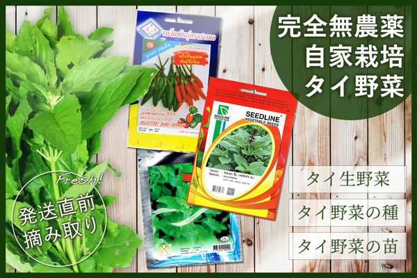 自家栽培タイ野菜